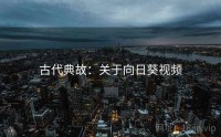 古代典故:关于向日葵视频