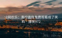 全网欢乐:青柠直播免费观看成了笑料 · 爆笑972