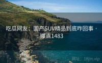 吃瓜网友:国产SUV精品到底咋回事 · 爆点1483