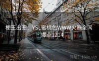梗王出圈:YSL蜜桃色WWW火遍全网 · 爆点1214