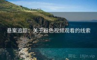 悬案追踪:关于粉色视频观看的线索