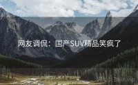 网友调侃:国产SUV精品笑疯了
