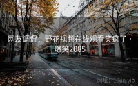网友调侃:野花视频在线观看笑疯了 · 爆笑2085