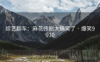 综艺翻车:麻花传剧太搞笑了 · 爆笑9910