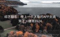 综艺翻车:晚上一个人看的APP太搞笑了 · 爆笑8924