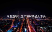 网友直呼：国产SUV精品太下头